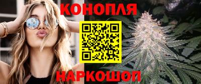 стаф Краснознаменск