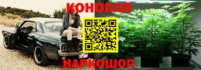 стаф Краснознаменск