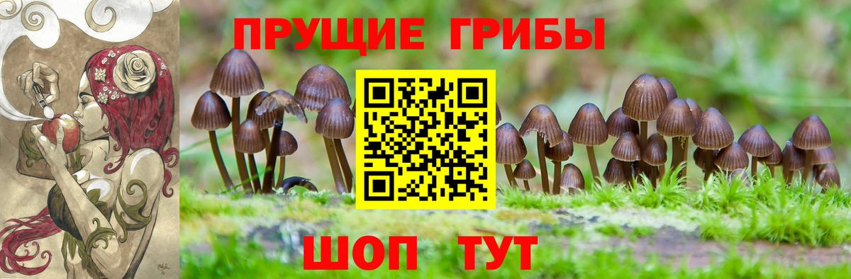 Псилоцибиновые грибы Psilocybine cubensis  Галлюциногенные грибы Cubensis  Вход с VPN  Зеленодольск 